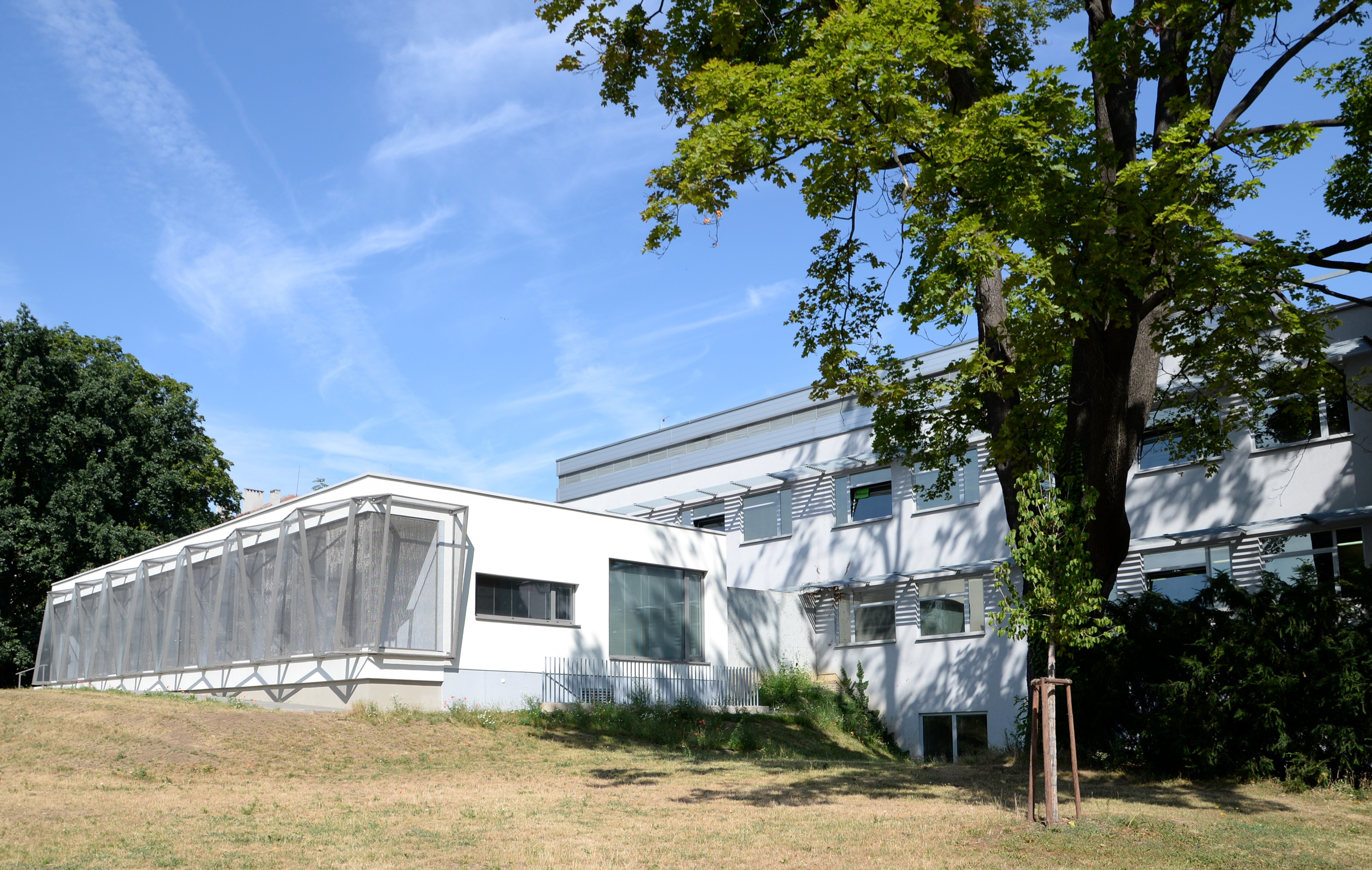 Novostavba Pavilonu aviární medicíny - Hochbau