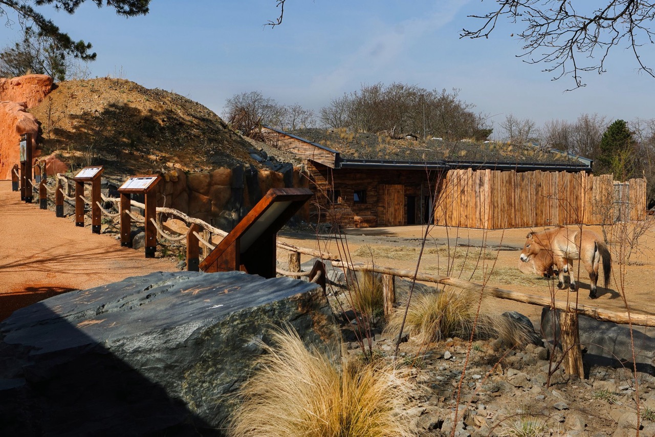 Zoo Praha – výběhy a stáje koní Převalského, pavilon drobných savců a plazů, voliéry manula - Hochbau